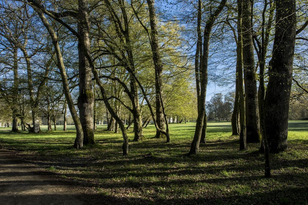 Chateau Des Briottieres Champigné Zewnętrze zdjęcie