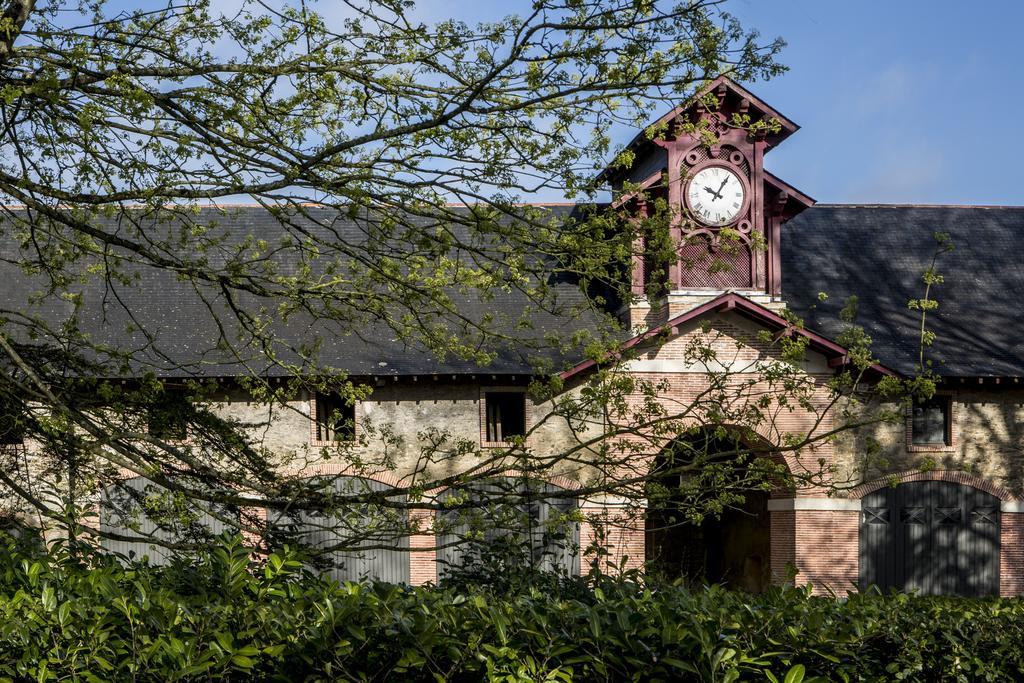 Chateau Des Briottieres Champigné Zewnętrze zdjęcie