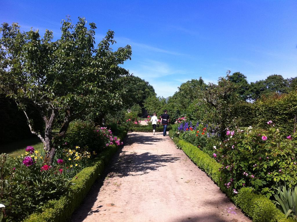 Chateau Des Briottieres Champigné Zewnętrze zdjęcie